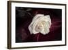 Rose-Gordon Semmens-Framed Photographic Print