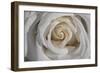 Rose-Gordon Semmens-Framed Photographic Print