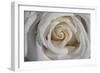 Rose-Gordon Semmens-Framed Photographic Print