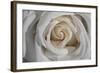 Rose-Gordon Semmens-Framed Photographic Print