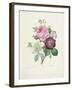 Rose-Pierre-Joseph Redouté-Framed Giclee Print