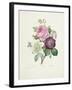 Rose-Pierre-Joseph Redouté-Framed Giclee Print