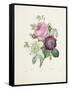 Rose-Pierre-Joseph Redouté-Framed Stretched Canvas