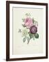 Rose-Pierre-Joseph Redouté-Framed Giclee Print