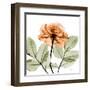 Rose-Albert Koetsier-Framed Art Print