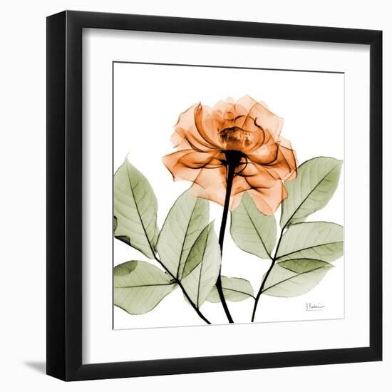 Rose-Albert Koetsier-Framed Art Print