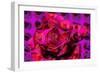 Rose-Scott J. Davis-Framed Giclee Print