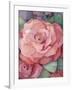 Rose-Fiona Stokes-Gilbert-Framed Giclee Print