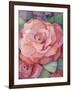 Rose-Fiona Stokes-Gilbert-Framed Giclee Print