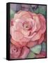 Rose-Fiona Stokes-Gilbert-Framed Stretched Canvas