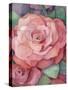 Rose-Fiona Stokes-Gilbert-Stretched Canvas