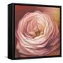 Rose-Lisa Audit-Framed Stretched Canvas