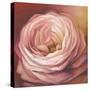 Rose-Lisa Audit-Stretched Canvas