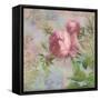 Rose-Cora Niele-Framed Stretched Canvas