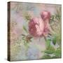 Rose-Cora Niele-Stretched Canvas