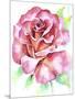 Rose-Michelle Faber-Mounted Giclee Print