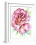 Rose-Michelle Faber-Framed Giclee Print