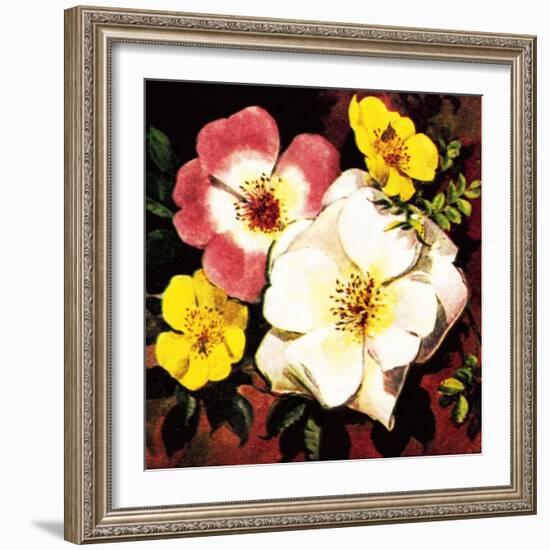 Rose-English School-Framed Giclee Print