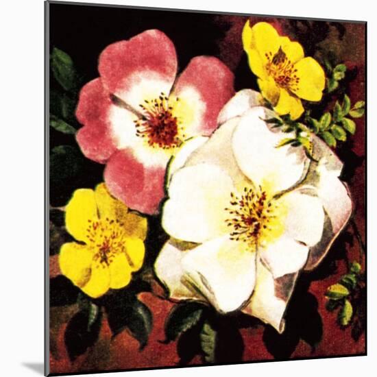 Rose-English School-Mounted Giclee Print