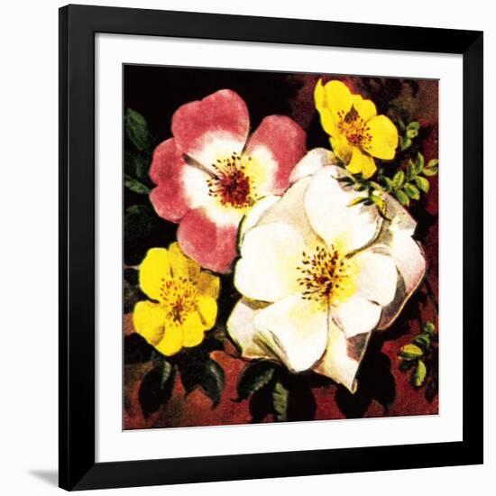 Rose-English School-Framed Giclee Print