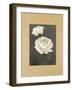 Rose-Andrea Trivelli-Framed Art Print