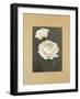 Rose-Andrea Trivelli-Framed Art Print