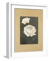 Rose-Andrea Trivelli-Framed Art Print