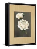 Rose-Andrea Trivelli-Framed Stretched Canvas