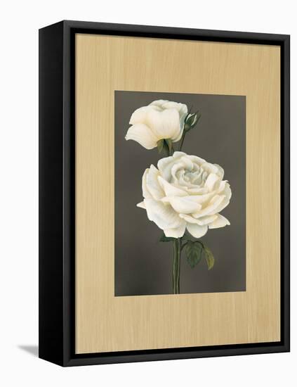 Rose-Andrea Trivelli-Framed Stretched Canvas