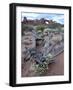 Roseata Gilia (Gilia Roseata) and South Window, Arches National Park, Utah, USA-James Hager-Framed Photographic Print