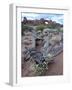 Roseata Gilia (Gilia Roseata) and South Window, Arches National Park, Utah, USA-James Hager-Framed Photographic Print