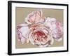 Roseate Dreaming-Sarah Caswell-Framed Giclee Print