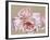 Roseate Dreaming-Sarah Caswell-Framed Giclee Print