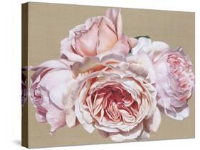 Roseate Dreaming-Sarah Caswell-Stretched Canvas