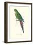 Roseate Parakeet - Polytelis Swainsoni-Edward Lear-Framed Art Print