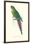 Roseate Parakeet - Polytelis Swainsoni-Edward Lear-Framed Art Print