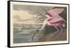 Roseate Spoonbill, 1836-John James Audubon-Framed Stretched Canvas