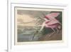 Roseate Spoonbill, 1836-John James Audubon-Framed Giclee Print