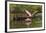 Roseate spoonbill flying, Merritt Island National Wildlife Refuge, Florida-Adam Jones-Framed Photographic Print