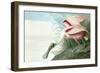 Roseate Spoonbill, Platalea Ajaja, from the Birds of America by John J. Audubon, Pub. 1827-38 (Hand-John James Audubon-Framed Giclee Print