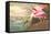 Roseate Spoonbill-John James Audubon-Framed Stretched Canvas