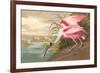 Roseate Spoonbill-John James Audubon-Framed Premium Giclee Print