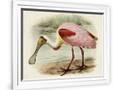 Gramercy White
