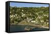 Roseau, Dominica, Windward Islands, West Indies, Caribbean, Central America-Tony-Framed Stretched Canvas