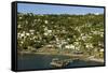 Roseau, Dominica, Windward Islands, West Indies, Caribbean, Central America-Tony-Framed Stretched Canvas