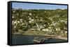 Roseau, Dominica, Windward Islands, West Indies, Caribbean, Central America-Tony-Framed Stretched Canvas