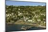 Roseau, Dominica, Windward Islands, West Indies, Caribbean, Central America-Tony-Mounted Photographic Print