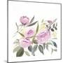 Rosebud Watercolor I-Victoria Borges-Mounted Art Print