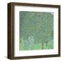 Rosebushes under the Trees, ca. 1905-Gustav Klimt-Framed Art Print