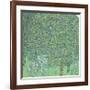 Rosebushes under the Trees, ca. 1905-Gustav Klimt-Framed Giclee Print